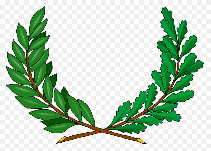 Free Clip Art Vines Clipart - Clipa