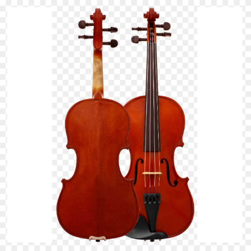 Nicolas Parola Ap20N Viola