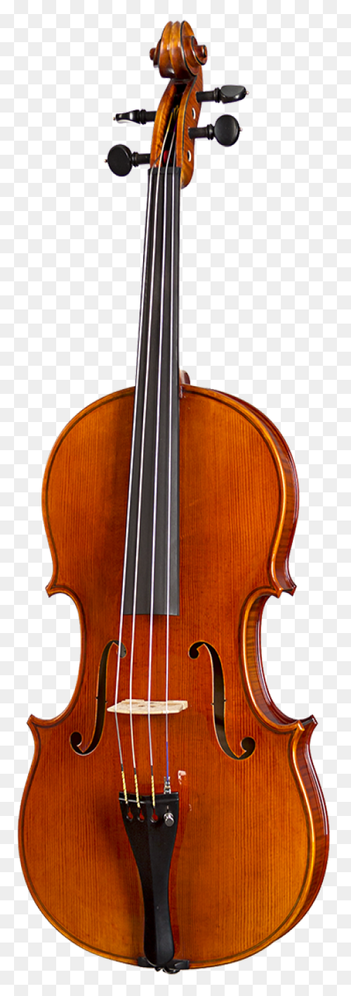 Nicolas Parola Ap20N Viola