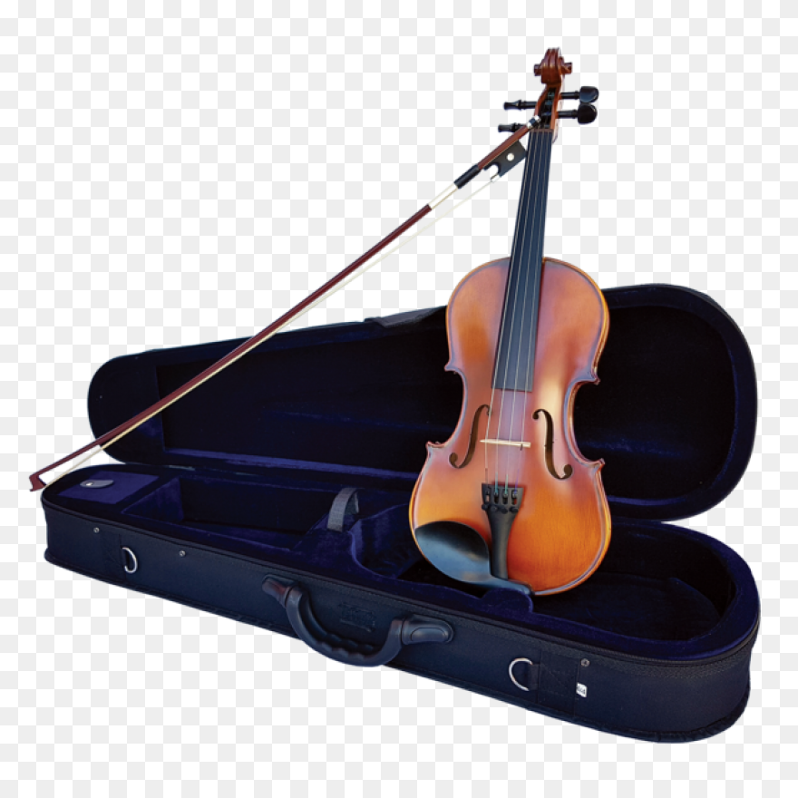 Nicolas Parola Ap20N Viola