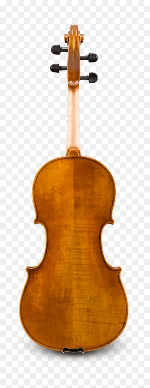 Nicolas Parola Ap20N Viola