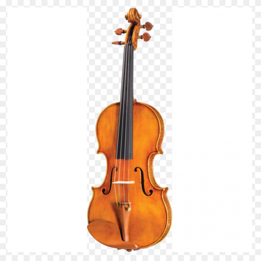 Nicolas Parola Ap20N Viola