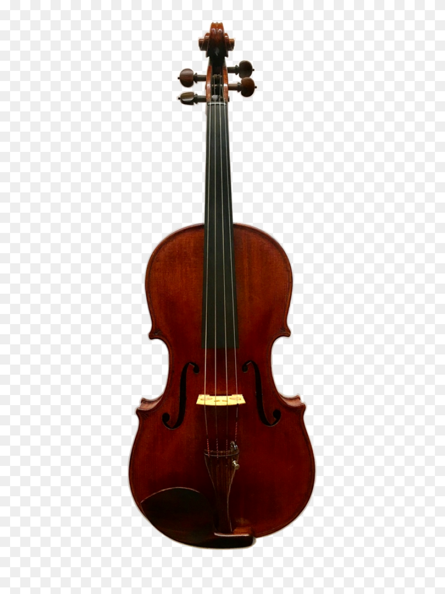 Nicolas Parola Ap20N Viola