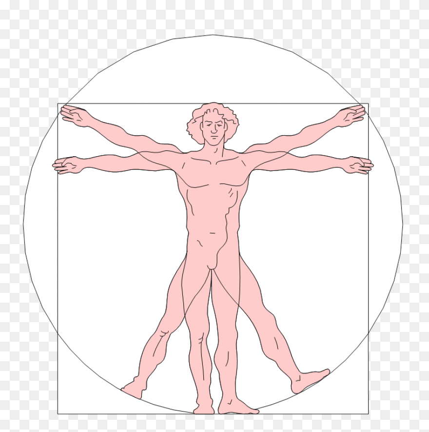 Vitruvian Man | Free PNG-WebP