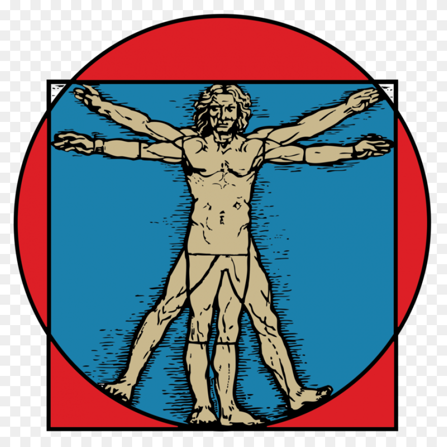 Vitruvian Man | Free PNG-WebP