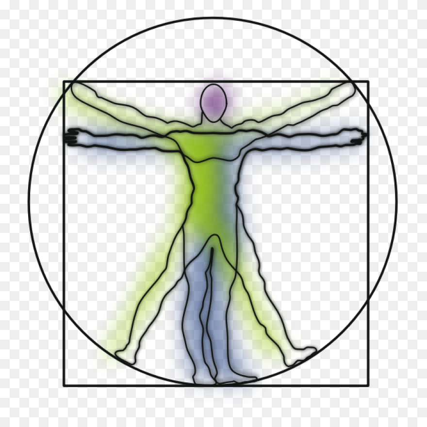 Vitruvian Man | Free PNG - Vitruvian Man