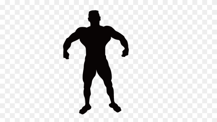 Vitruvian Man | Free PNG-WebP