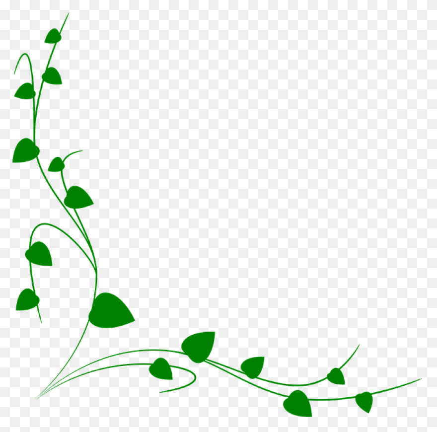 Vine Border Clipart Full Size - Vine Border