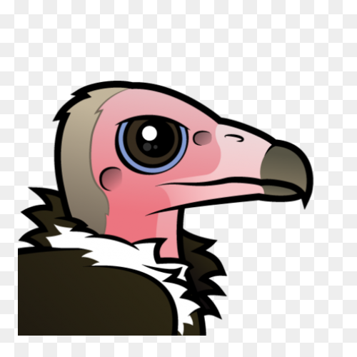 Turkey Vulture Flying Transparent P