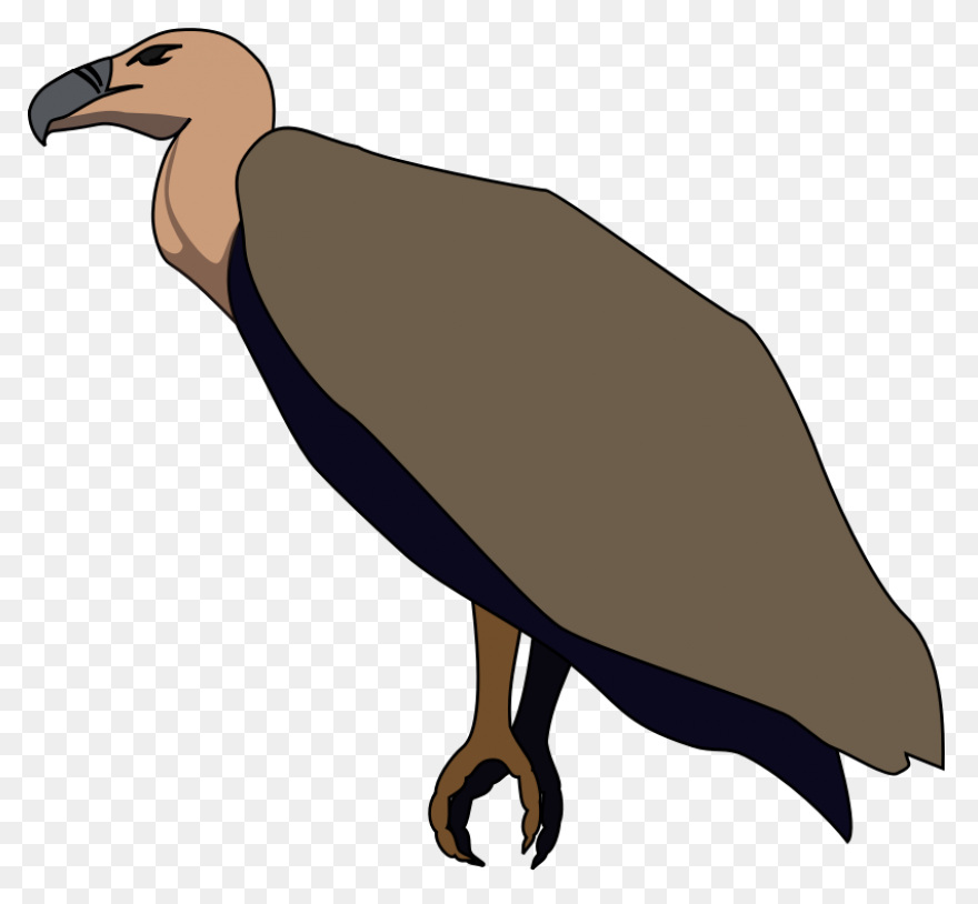 Free Vulture Cliparts Download Free - Vulture
