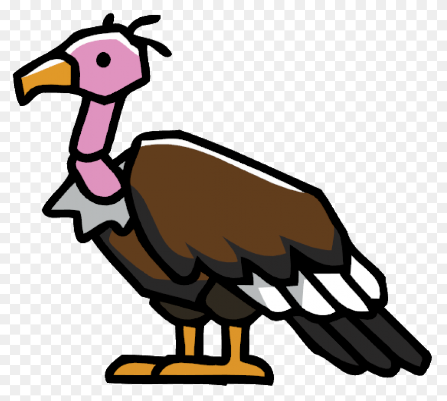 Turkey Vulture Flying Transparent P