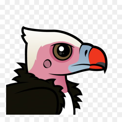 Turkey Vulture Flying Transparent P