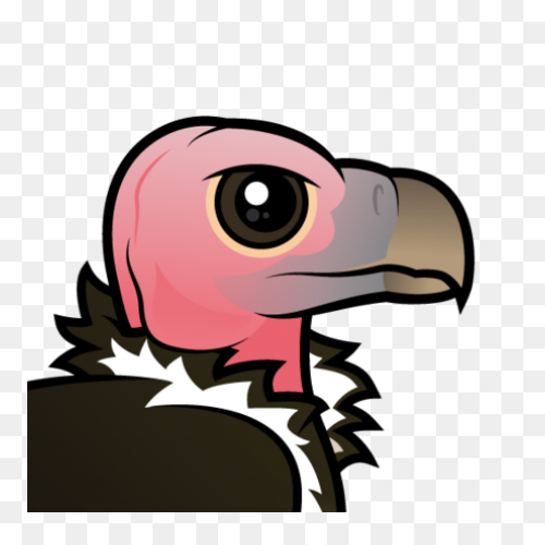 Turkey Vulture Flying Transparent P