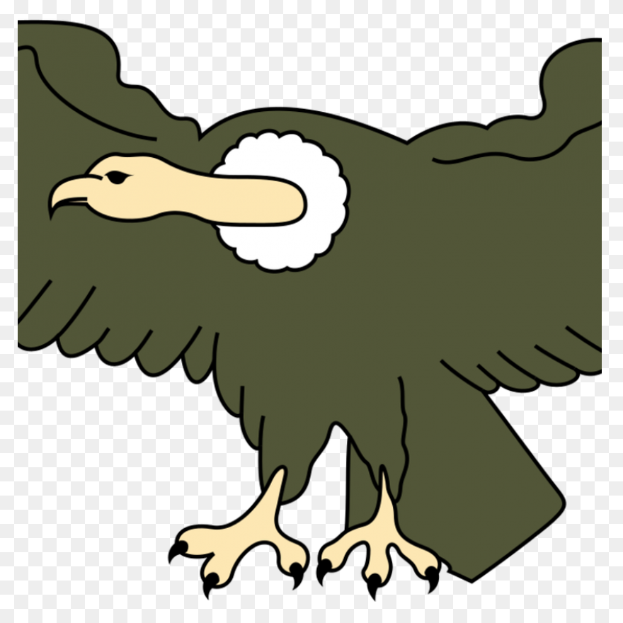 Turkey Vulture Flying Transparent P