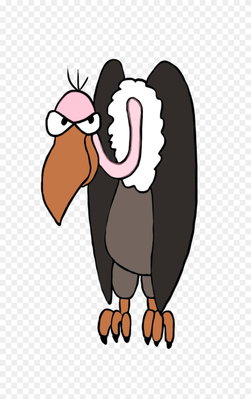 Turkey Vulture Flying Transparent P