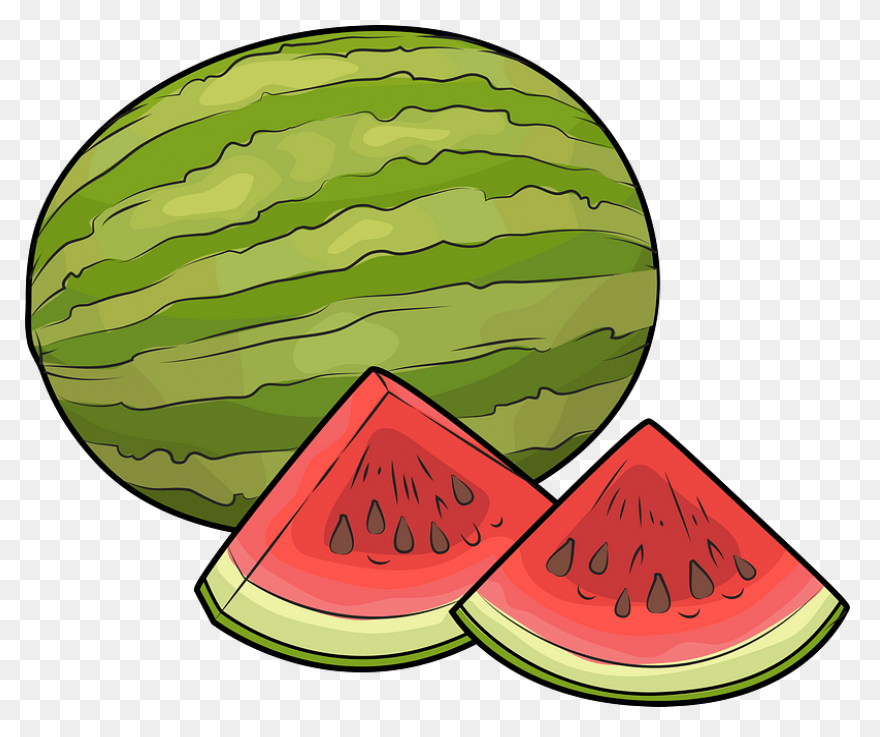 Watermelon Clipart - Clipart Sugges