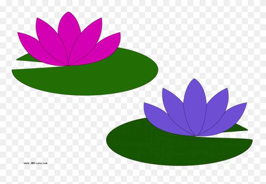 Transparent Water Lily Clipart - Cl