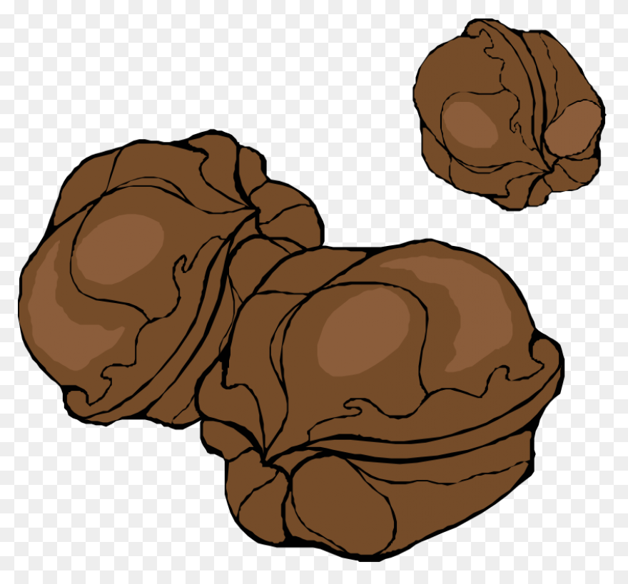 Download Walnut - Walnut Clipart Pn