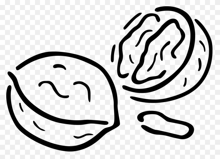 Download Walnut - Walnut Clipart Pn