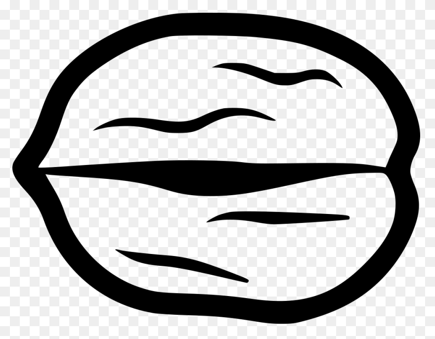 Download Walnut - Walnut Clipart Pn