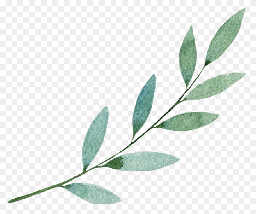 Watercolor Painting Drawing Leaf Pr