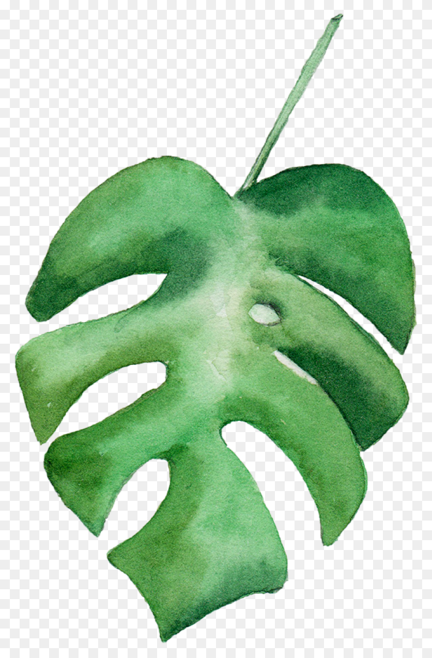 Watercolor Painting Drawing Leaf Pr