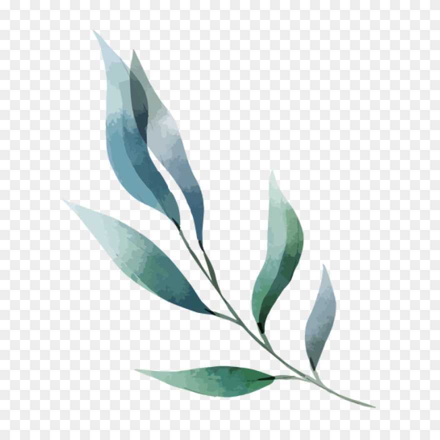 Watercolor Painting Drawing Leaf Pr