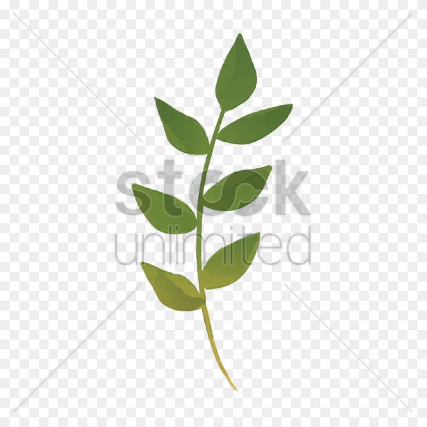 Watercolor Painting Drawing Leaf Pr