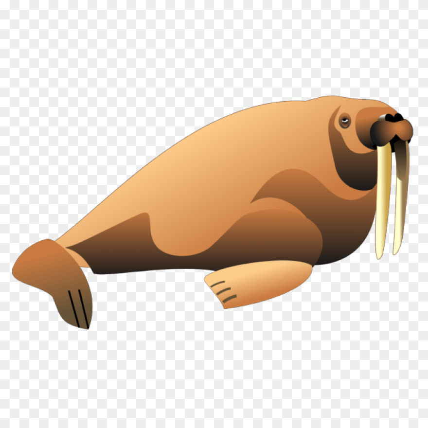 Brown Shaded Walrus Png PNG - Walrus