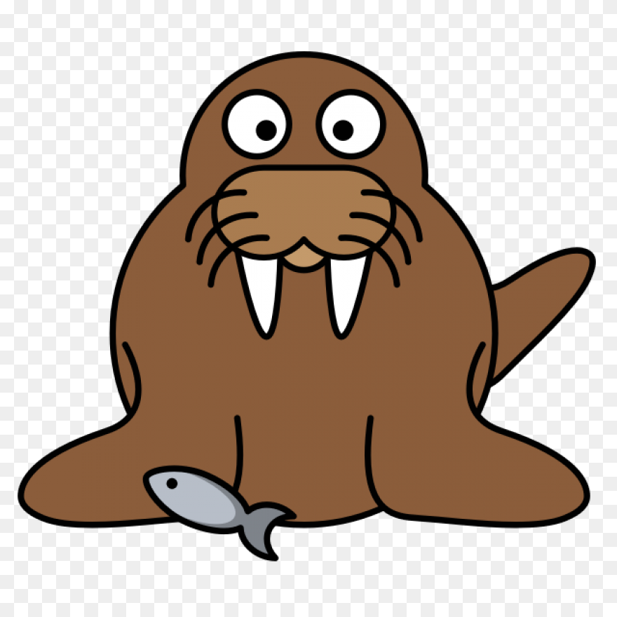 Walrus Animal Tusks - Free Vector G