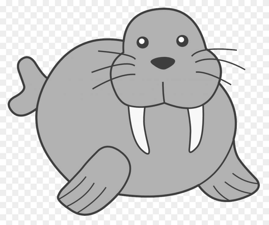 Walrus Animal Tusks - Free Vector G