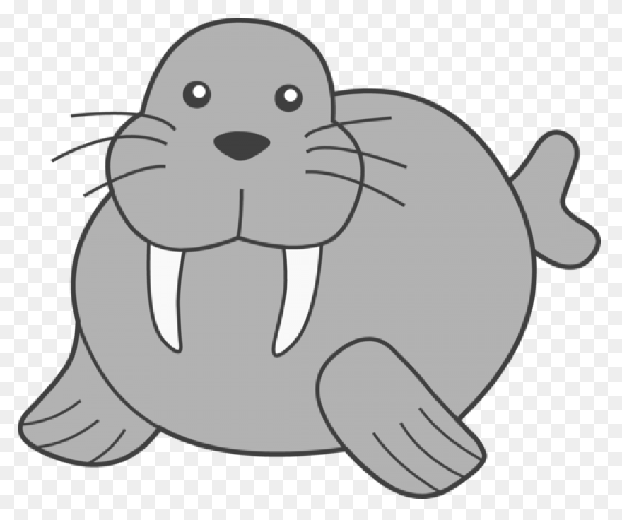 Walrus Animal Tusks - Free Vector G