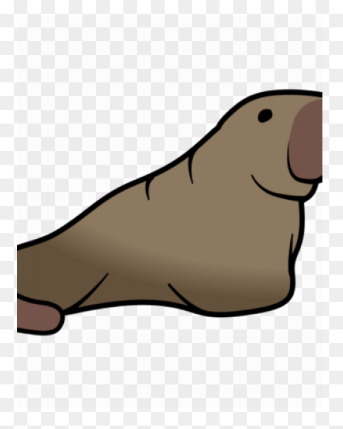 Walrus Animal Tusks - Free Vector G