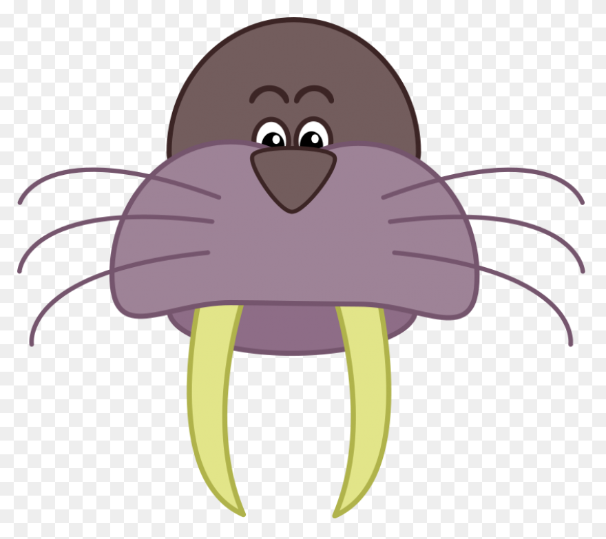 Walrus Animal Tusks - Free Vector G