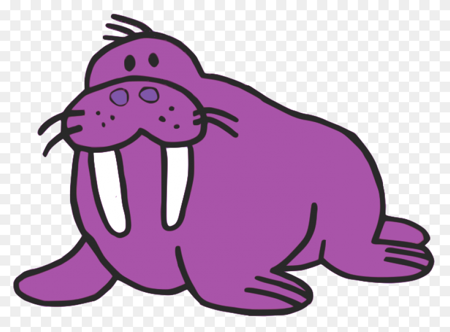 Walrus Animal Tusks - Free Vector G
