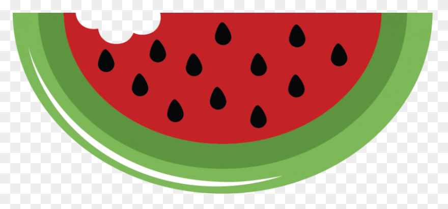 Half Eaten Watermelon Slice