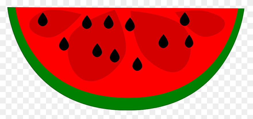 Half Eaten Watermelon Slice