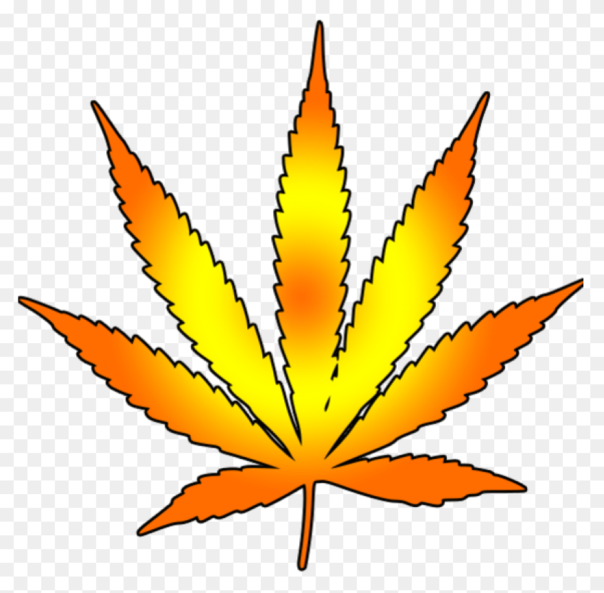 Weed Clipart PNG-WebP - Transparent