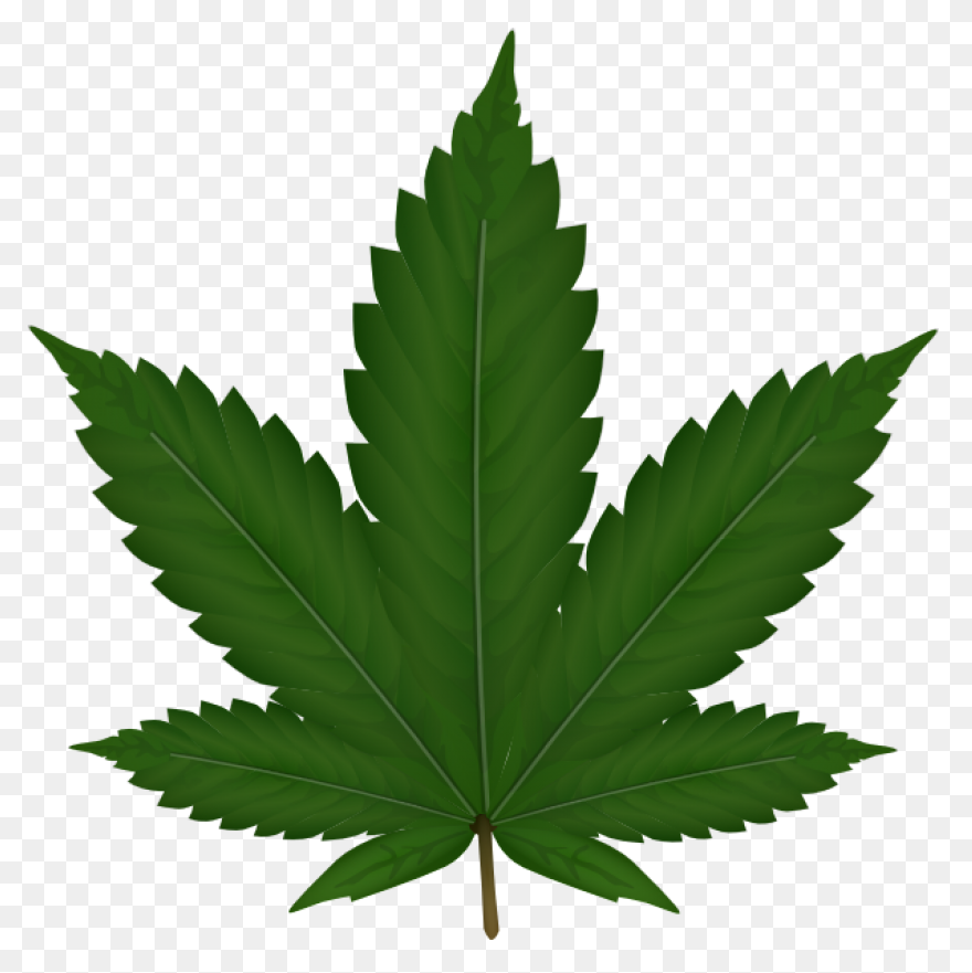 Weed Clipart PNG-WebP - Transparent
