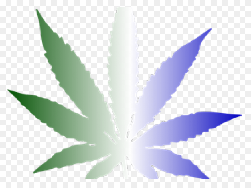 Weed Clipart PNG WebP Background - Weed