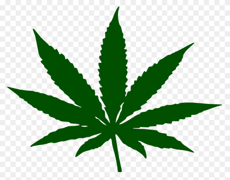 Weed Clipart PNG-WebP - Transparent