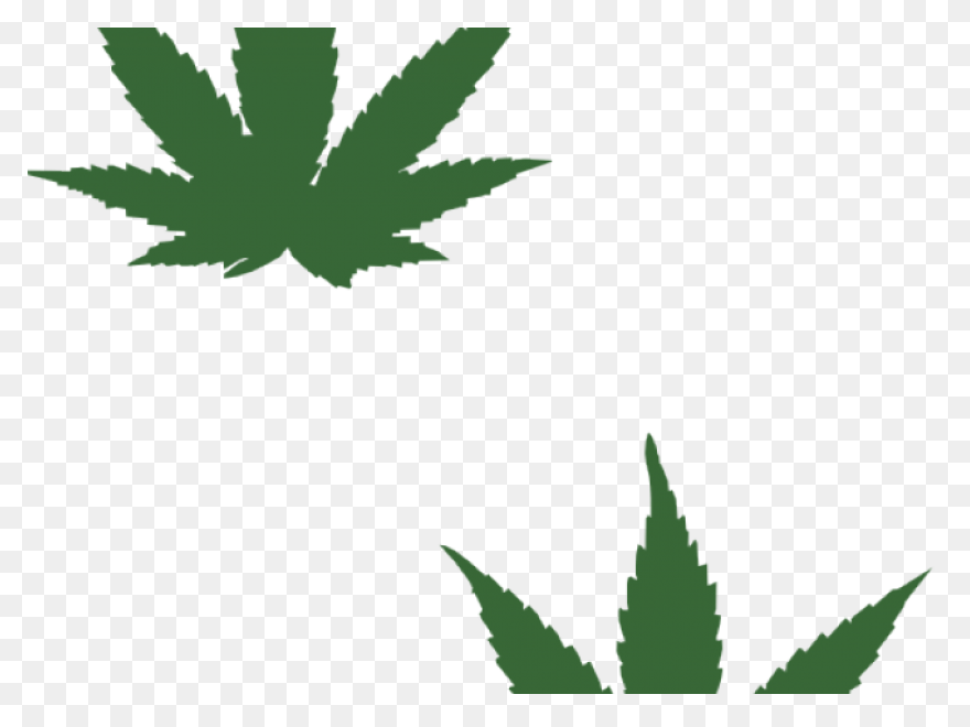Weed Clipart PNG-WebP - Transparent