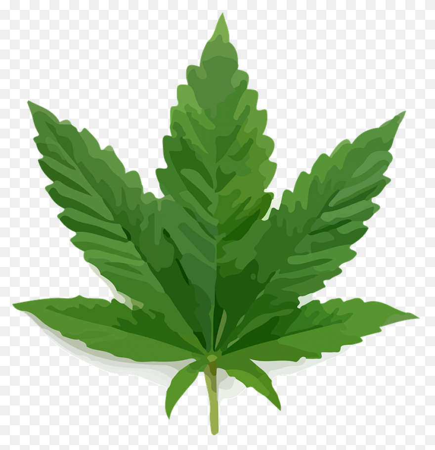 Download Marijuana Can Be Great In 