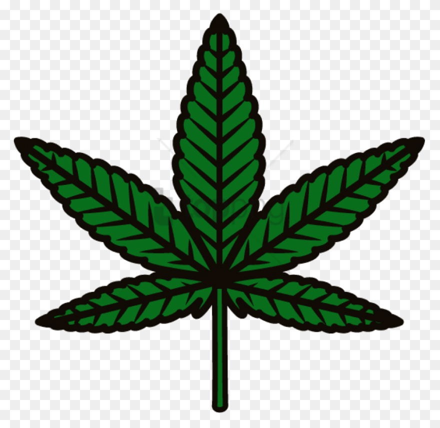 Download Marijuana Can Be Great In 