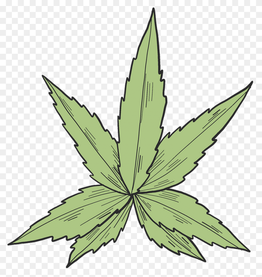 Download Marijuana Can Be Great In 