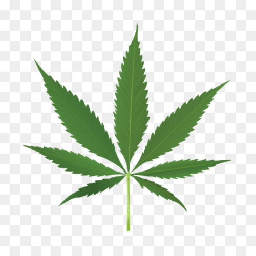 Download Marijuana Can Be Great In 