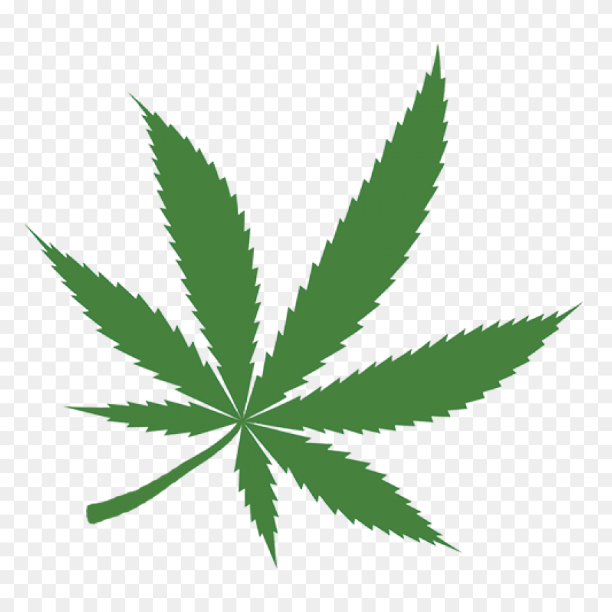 Cannabis Marijuana Herb - Free Imag