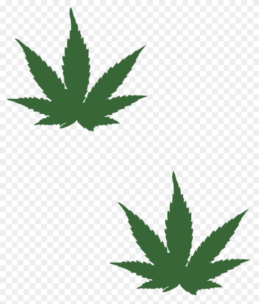 Cannabis Marijuana Herb - Free Imag
