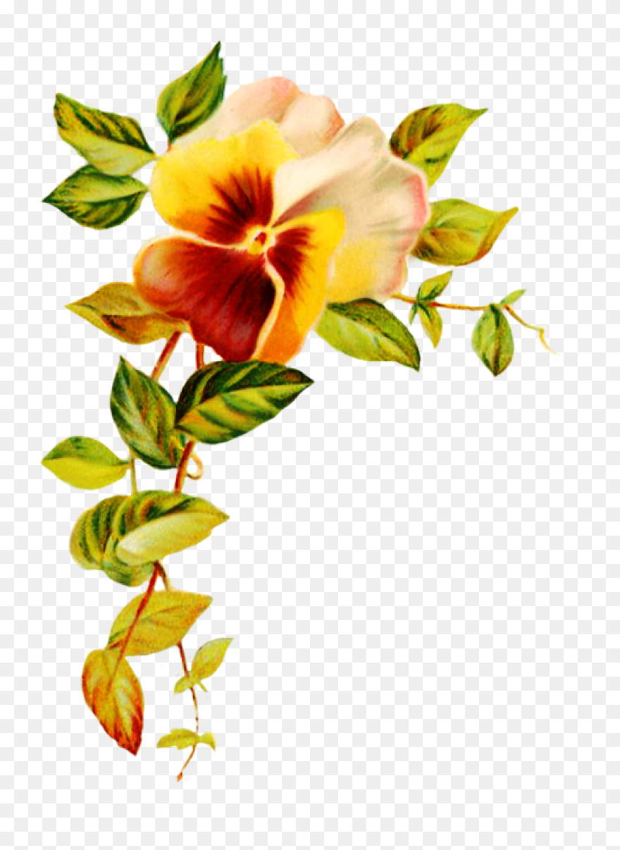 Wedding Flowers - Wedding Pictures