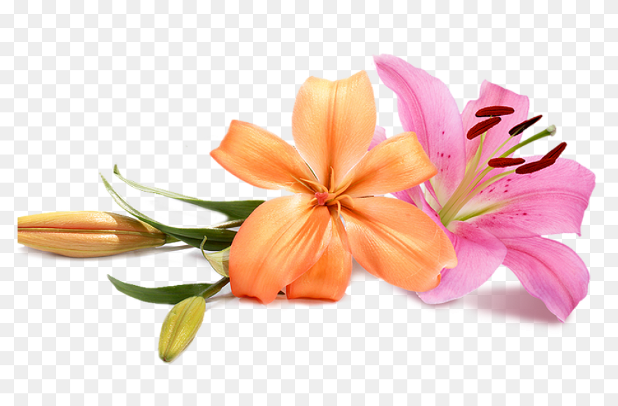 Wedding Flowers - Wedding Pictures